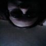 Deadkid