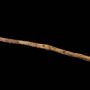 Stick