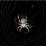 Luciferia