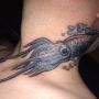Squid