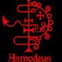 Amon
