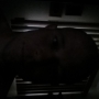 johnEwalton