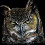 MrOwl