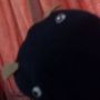 NotASockPuppet