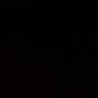 Hari