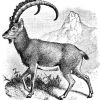 Satanic Michigan